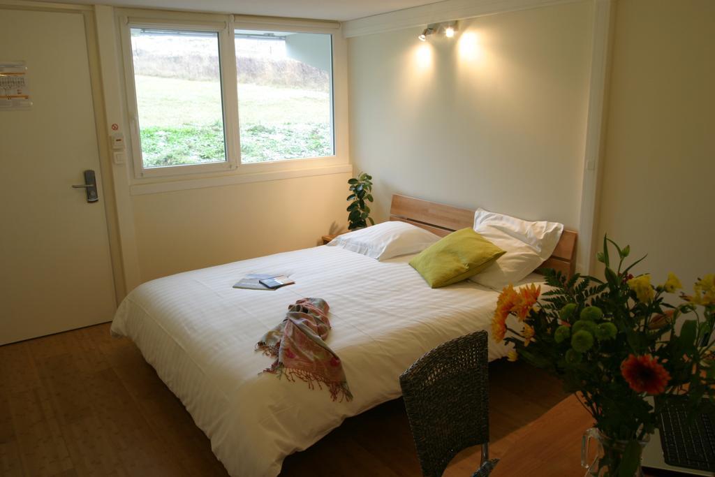Hotel Pierre Blanche Chatillon-en-Michaille Phòng bức ảnh
